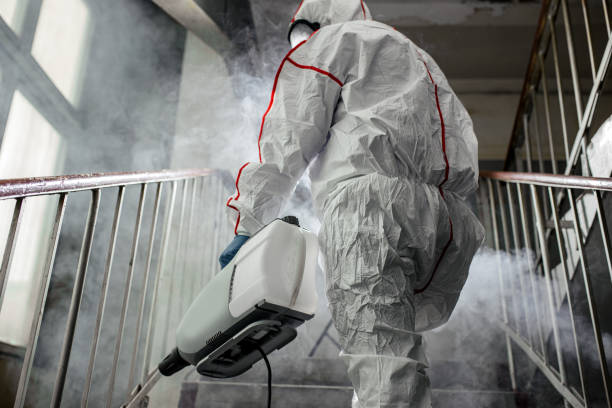 Best Mold Prevention Services  in Monroe Manor, NJ